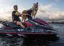 Top Dog Film Festival
