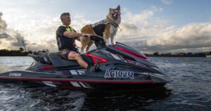 Top Dog Film Festival