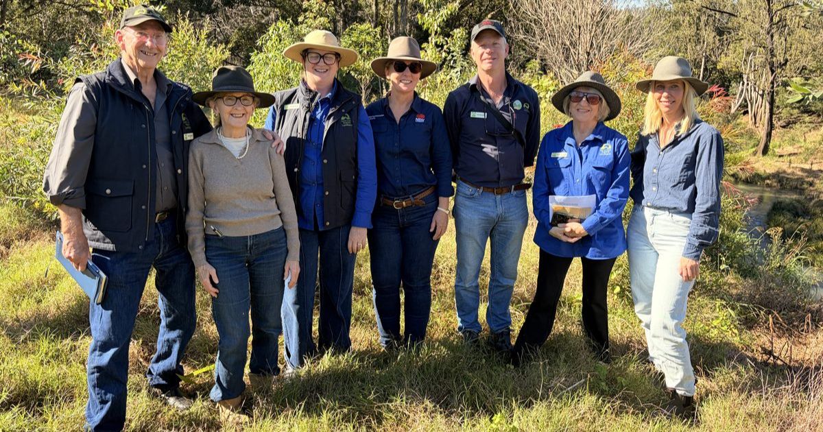 Northern Rivers riverbank restoration