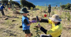 Lennox Head tree planting