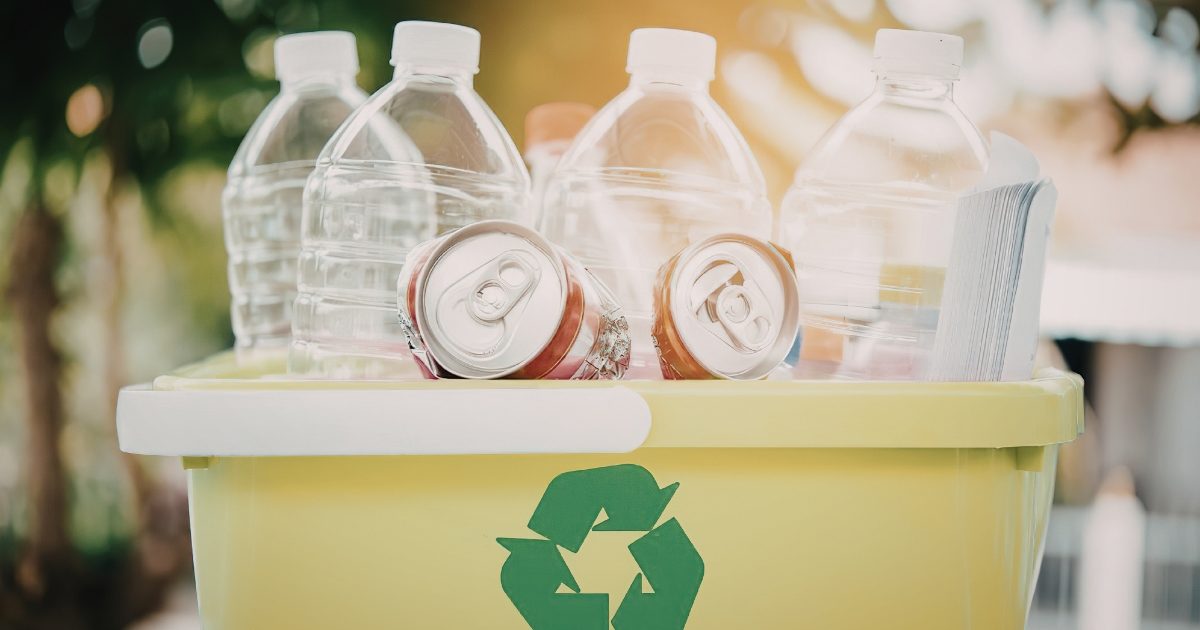 Lismore waste audit