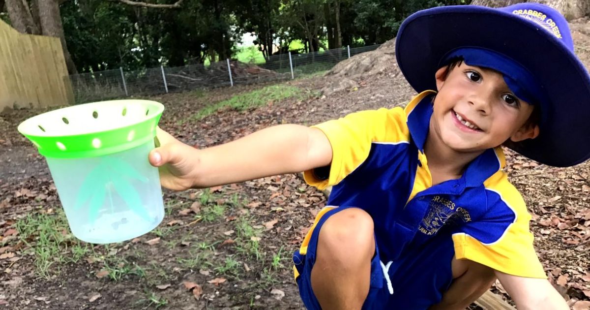 Northern Rivers public schools