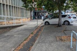 Murwillumbah street trees