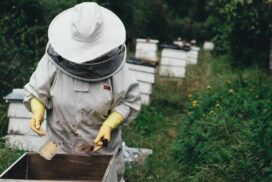 Varroa mite training