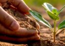 regenerative future workshops
