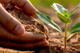 regenerative future workshops