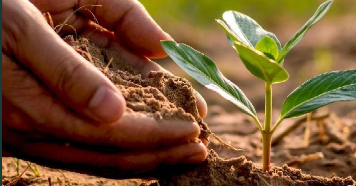 regenerative future workshops