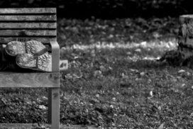 Byron homelessness project