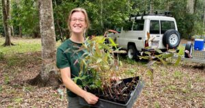 Urban tree planting grants