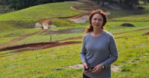 Northern Rivers net zero