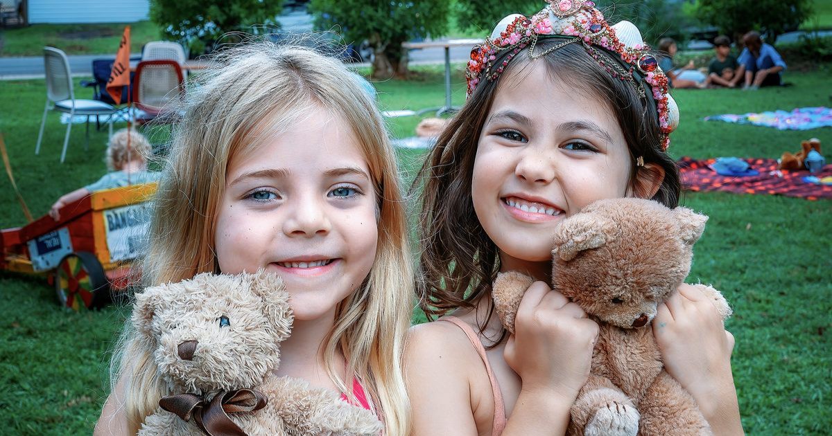 Teddy Bear Picnic