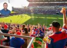 Knights coaching search