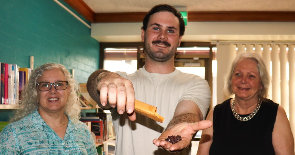 Murwillumbah Seed Library