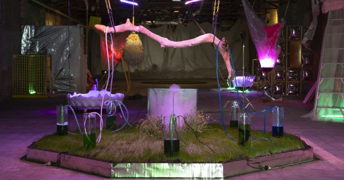Ballina art exhibitions
