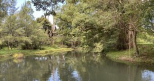 land management workshops
