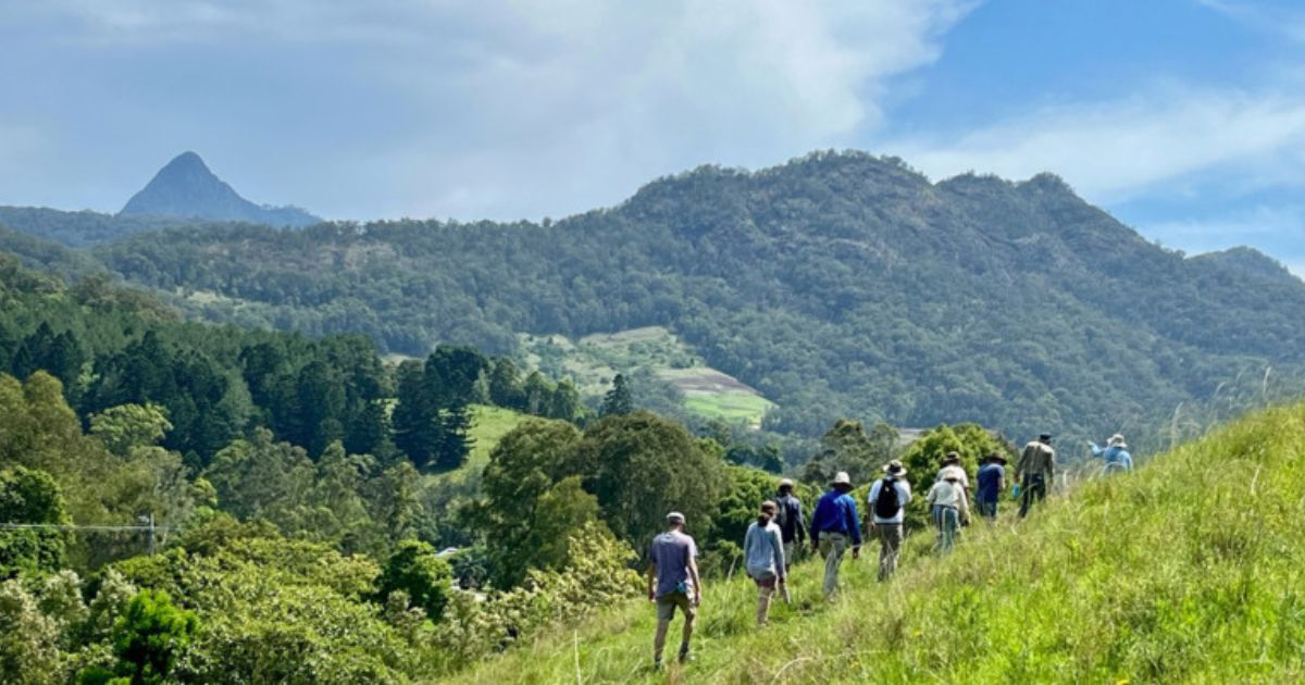 Tweed regenerative agriculture