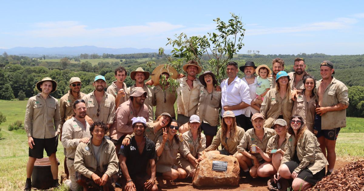 ReForest Now Milestone