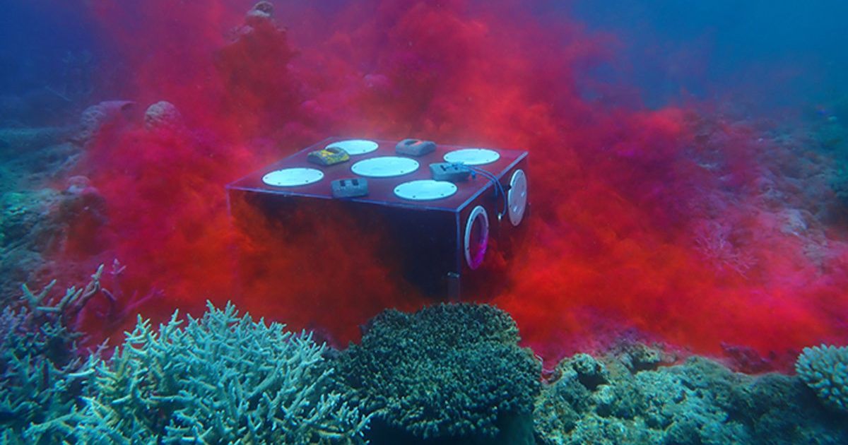 Coral Larval Seedbox Restoration