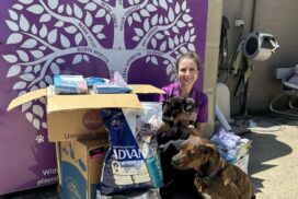 Northern Rivers Animal Services