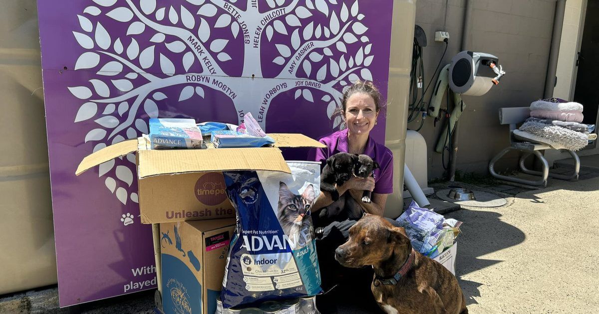 Northern Rivers Animal Services