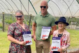 Northern NSW berry industry