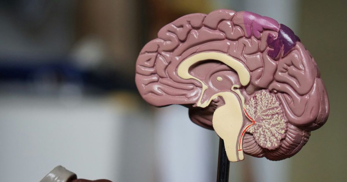 Glioblastoma growth driver