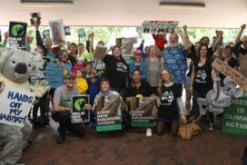 Lismore Koala Forum