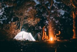 Lismore Lifestyle Expo