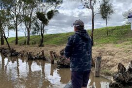 Fish habitat restoration