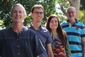 Tweed Shire Council CDP rating
