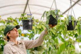 horticulture trainee