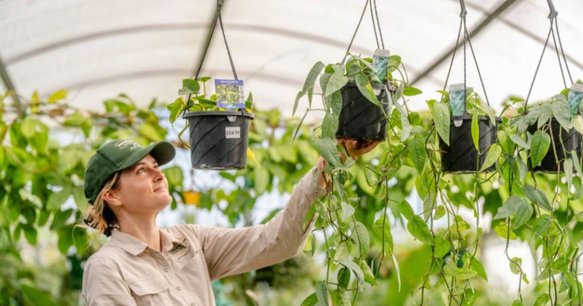 horticulture trainee