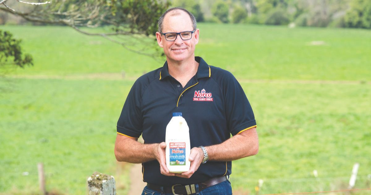 Norco milk