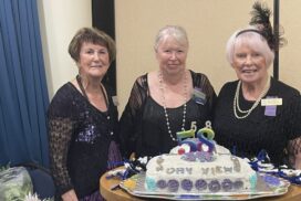 Twin Towns VIEW Club