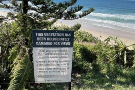 Tweed tree vandalism