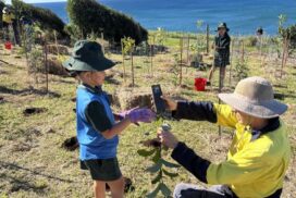 Lennox Head tree planting