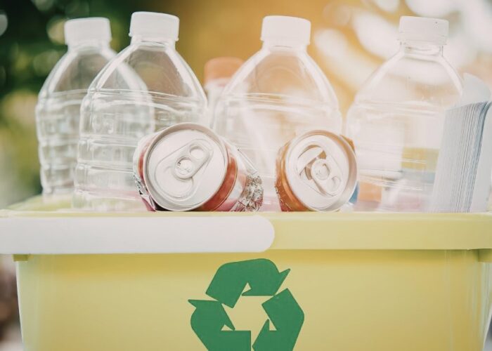 Lismore waste audit