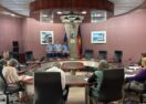 Ballina youth flood ideas