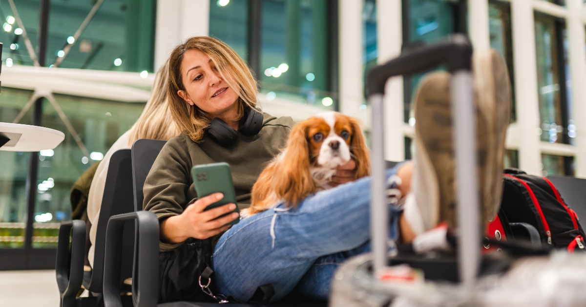 Pets on planes? Virgin makes Aussie aviation history