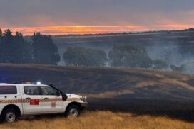 Victorian bushfire recovery package