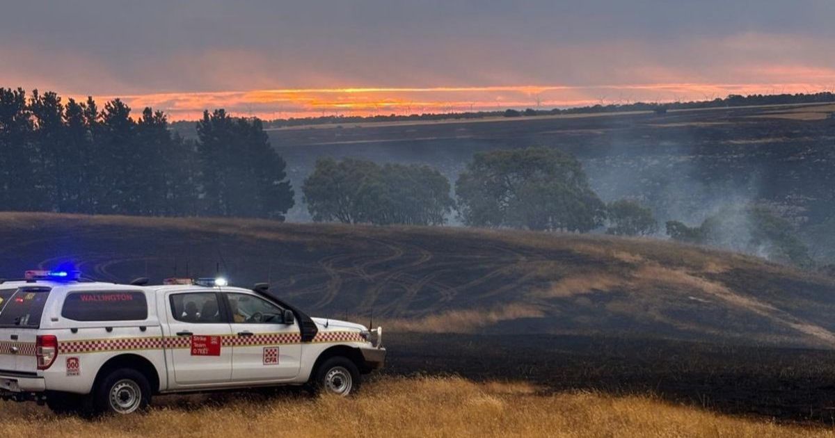 Victorian bushfire recovery package