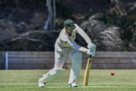 BPCA 2026 cricket returns