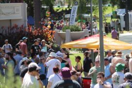 Geelong Beer Festival