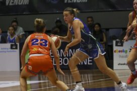 Venom WNBL loss