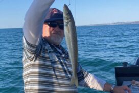 King George whiting outlook