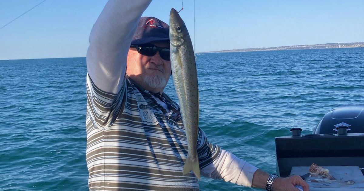 King George whiting outlook