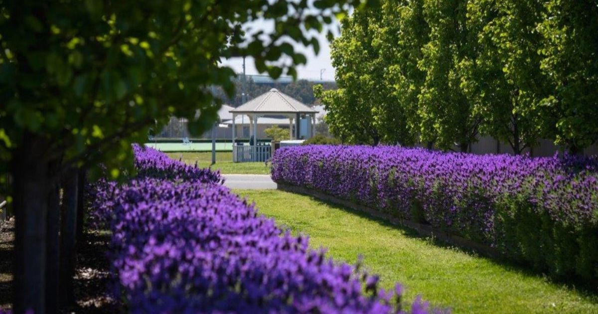 Kithbrooke Park Country Club