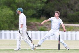 BPCA1 cricket leaders