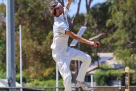 Lara GCA Cricket