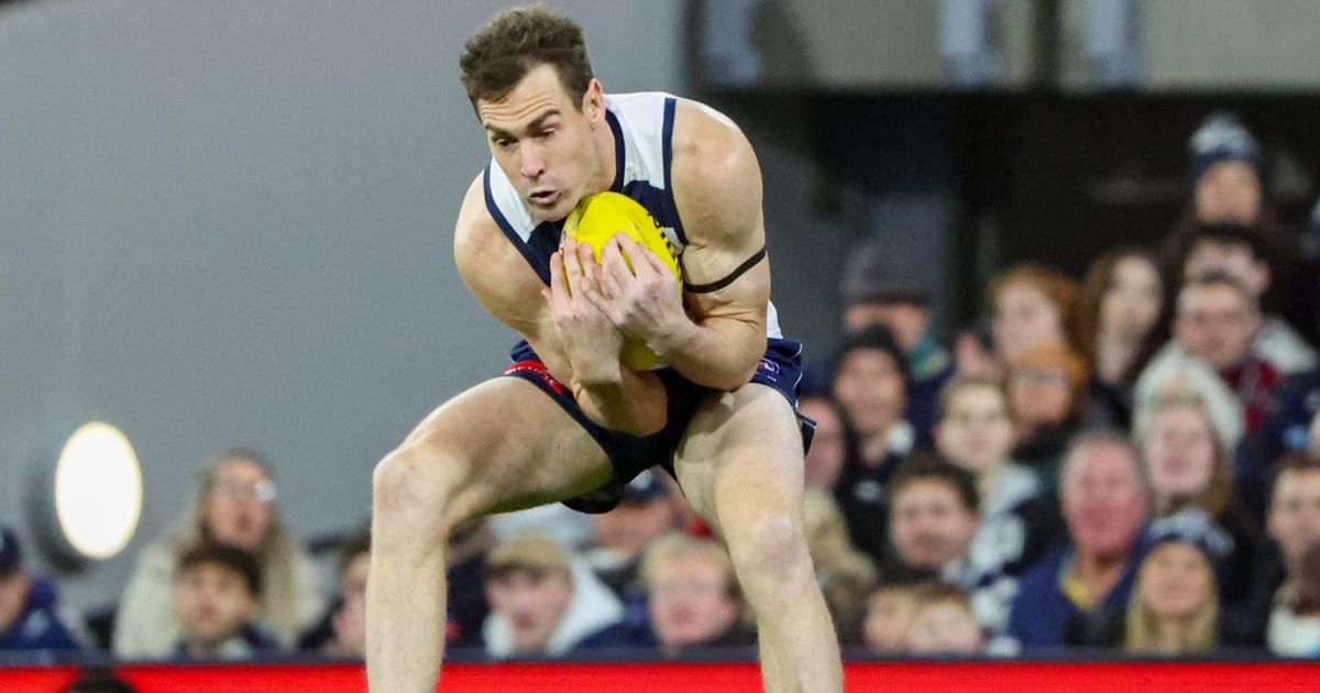 Cats Suns Clash